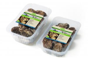 Organic Oysters - MAP / Retail